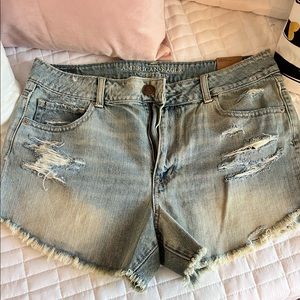 NWT AE Festival Shorts